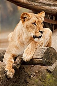 Mind Blowing Lioness Journal: 150 Page Lined Journal (Paperback)