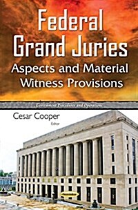 Federal Grand Juries (Paperback)