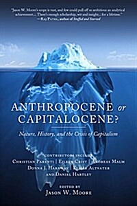 Anthropocene or Capitalocene?: Nature, History, and the Crisis of Capitalism (Paperback)