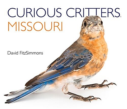 Missouri (Board Books)