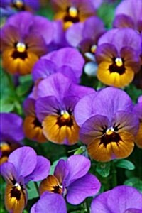 Mind Blowing Purple Pansies Journal: 150 Page Lined Journal (Paperback)