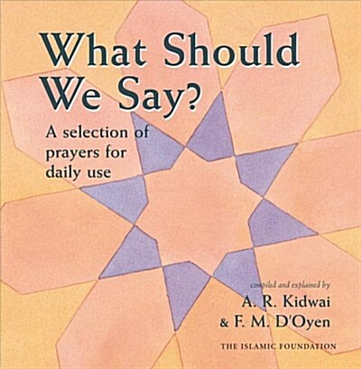 What Should We Say? (Hardcover)