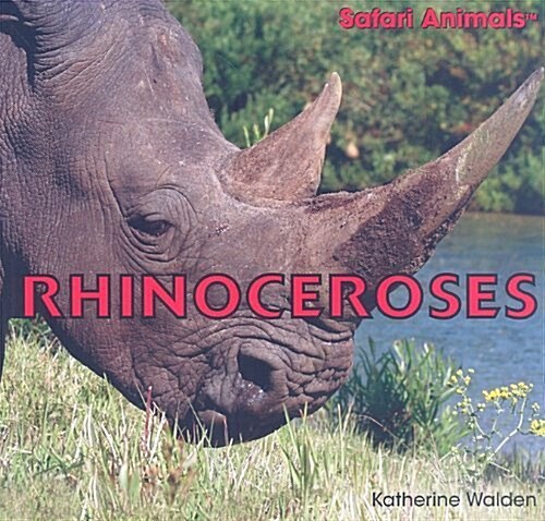 Rhinoceroses (Paperback)