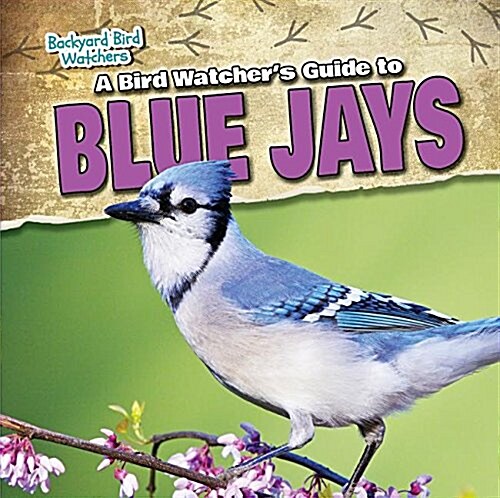 A Bird Watchers Guide to Blue Jays (Library Binding)