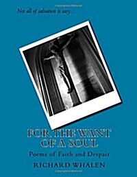 For the Want of a Soul: Poems of Faith and Despair (Paperback)