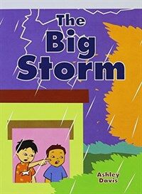 Big Storm (Paperback)