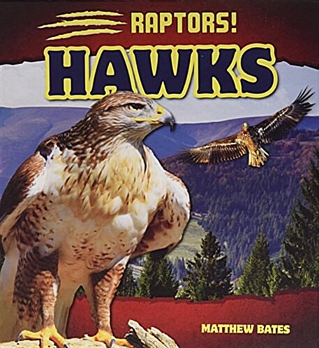 Hawks (Library Binding)