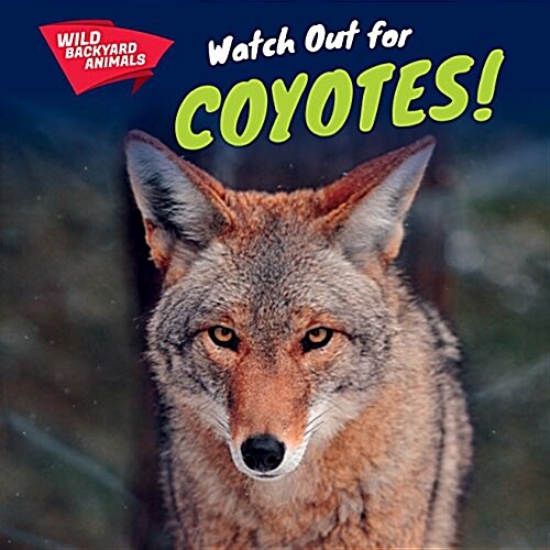Watch Out for Coyotes! (Paperback)