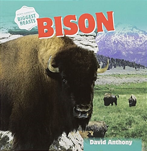 Bison (Paperback)