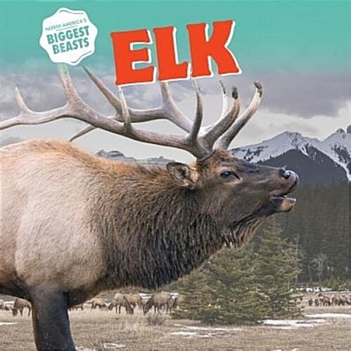 Elk (Paperback)