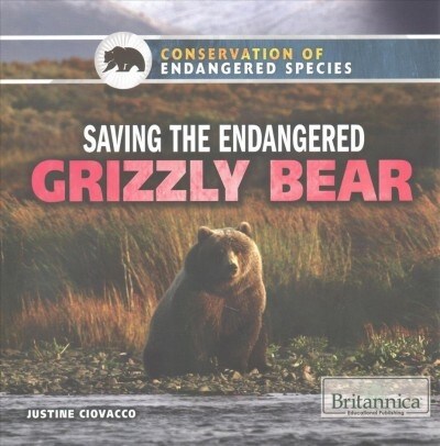 Saving the Endangered Grizzly Bear (Paperback)