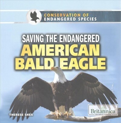 Saving the Endangered American Bald Eagle (Paperback)