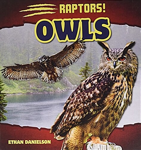 Owls (Library Binding)