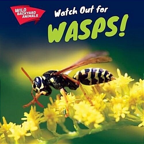 Watch Out for Wasps! (Paperback)