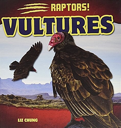 Vultures (Library Binding)