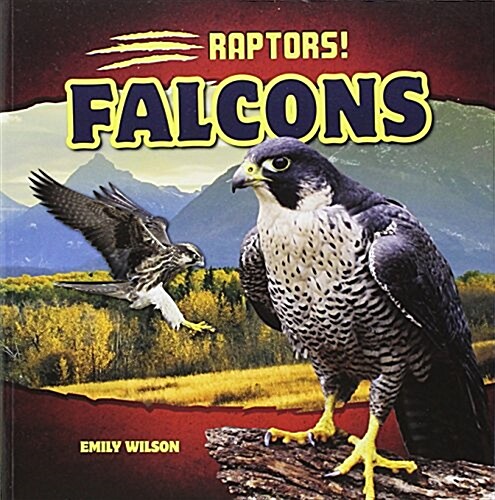 Falcons (Paperback)