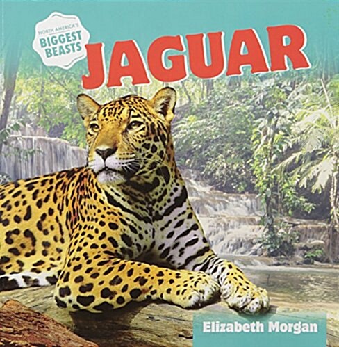 Jaguar (Paperback)