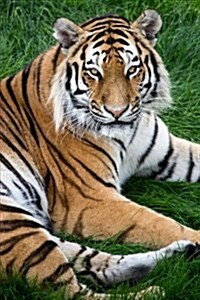 (For the Love of Tigers) Tiger Relaxing in the Grass: Blank 150 Page Lined Journal for Your Thoughts, Ideas, and Inspiration (Paperback)