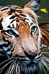 (For the Love of Tigers) Wet Tiger: Blank 150 Page Lined Journal for Your Thoughts, Ideas, and Inspiration (Paperback)