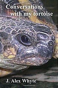 Conversations with My Tortoise: A Strange Look at the Universe (Paperback)