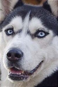 Blue Husky (for Love of Dogs): Blank 150 Page Lined Journal for Your Thoughts, Ideas, and Inspiration (Paperback)