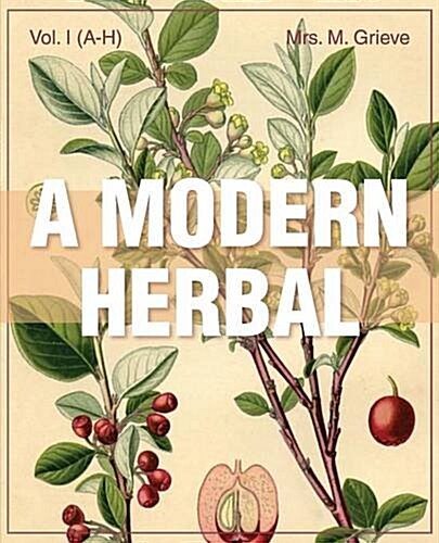 A Modern Herbal (Volume 1, A-H): The Medicinal, Culinary, Cosmetic and Economic Properties, Cultivation and Folk-Lore of Herbs, Grasses, Fungi, Shrubs (Paperback)