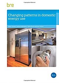 Changing Patterns in Domestic Energy Use (Paperback)