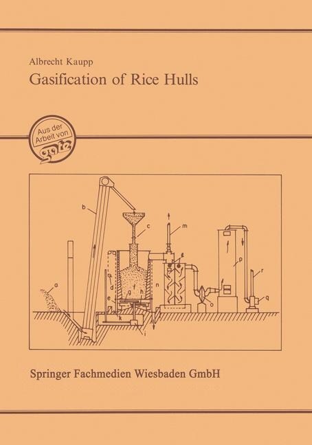Gasification of Rice Hulls: Theory and PRAXIS (Paperback, 1984)