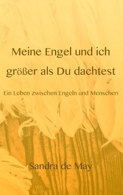 Meine Engel Und Ich Grosser ALS Du Dachtest (Paperback)