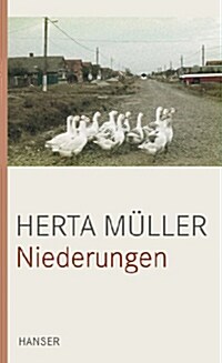 Niederungen: Prosa (Gebundene Ausgabe)