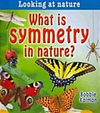 What Is Symmetry in Nature? (Paperback)