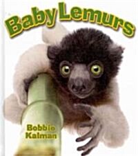 Baby Lemurs (Hardcover)