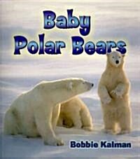 Baby Polar Bears (Paperback)