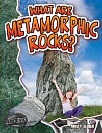 What Are Metamorphic Rocks? (Paperback)