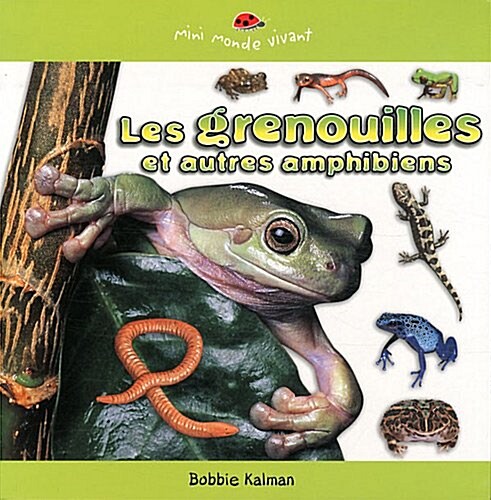 Les Grenouilles Et Autres Amphibiens (Paperback)