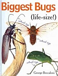 Biggest Bugs Life-Size (Hardcover)