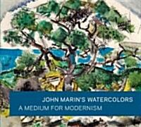 John Marins Watercolors: A Medium for Modernism (Hardcover)
