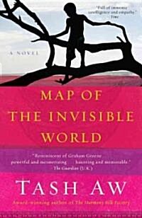 Map of the Invisible World (Paperback)