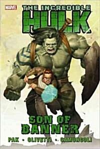 The Incredible Hulk 1 (Paperback)