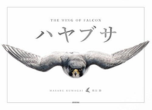 ハヤブサ THE WING OF FALCON (單行本(ソフトカバ-))
