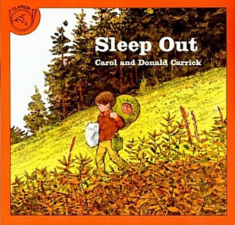 Sleep Out (Paperback)