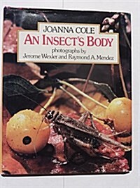 An Insects Body (Hardcover)
