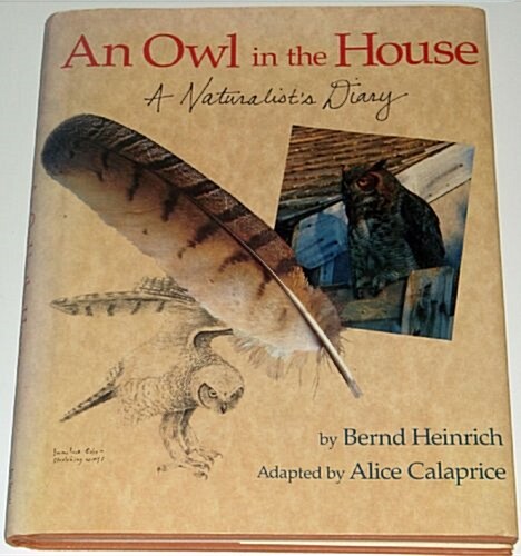 An Owl in the House (Hardcover)