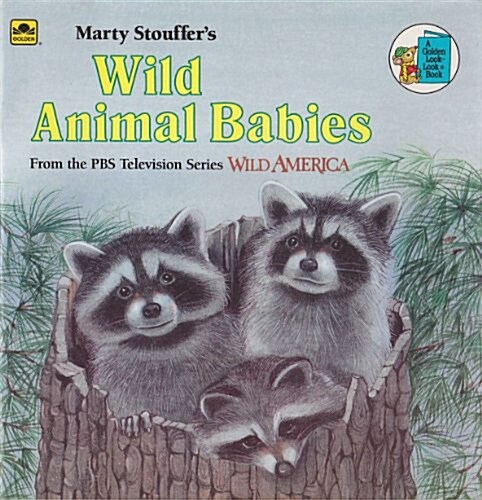 Marty Stouffers Wild Animal Babies (Paperback)