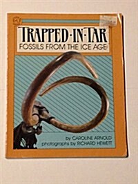 Trapped in Tar (Paperback)