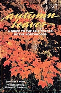 Autumn Leaves (Paperback)