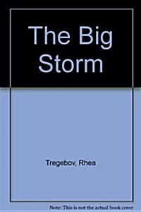 The Big Storm (Hardcover)