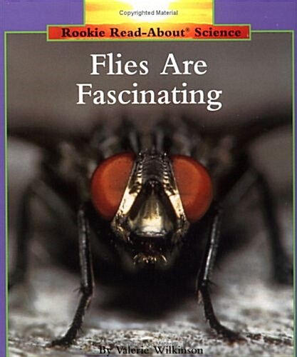 Flies Are Fascinating (Paperback)