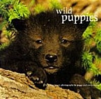 Wild Puppies (Paperback)