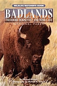 Badlands Theodore Roosevelt and Wind Cave National Parks (Paperback)